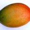 Major Mango Honeybush from Adagio Teas