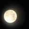 Full Moon Midnight from Adagio Teas