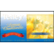 Lemon Chamomile from Tetley