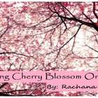 Calming Cherry Blossom Orchard from Adagio Teas