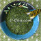 Chiran Sencha from O-Cha.com