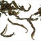 Cassia Oolong Tea (Wuyi Rou Gui Wu Long) from Jing Tea