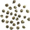 Dragon Pearls from Gong Fu Tea Shop