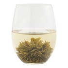 Green Sea Anenome from Mighty Leaf Tea