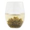 Green Sea Anenome from Mighty Leaf Tea