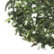 Shizuoka Shincha from Adagio Teas