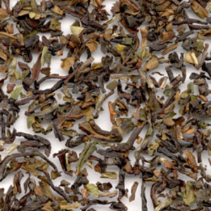 Makaibari Estate Autumnal Darjeeling 2009 from Perennial Tea Room