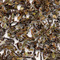 Makaibari Estate Autumnal Darjeeling 2009 from Perennial Tea Room
