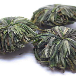 Lu Mu Dan Flowers (Green Peony) from Chicago Tea Garden