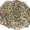 100 Monkeys from Imperial Tea Garden