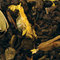 Fertilitea from Chado Tea Room
