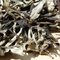 Yue Guang Bai from Yunnan Sourcing