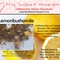 Lemonbushomile from 52teas