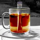 teastir from Teastir