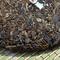 2010 Hai Lang Hao "Lasting Fragrance" Yi Wu Wild Arbor from Yunnan Sourcing