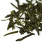 Gyokuro Green Tea from Jing Tea