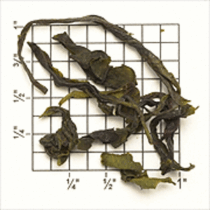 Tindharia Estate 1st Fl Darjeeling Green Oolong (EX-10) from Upton Tea Imports