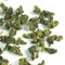 Milk Oolong from Goldfish Tea