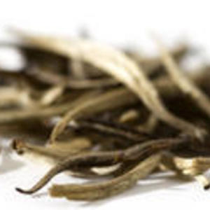 Hajua Estate Assam White Tea from Jing Tea