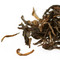 1990s Royal Raw Puerh (1990s Jun Sheng Puerh) from Jing Tea