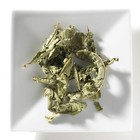 Verbena from Mighty Leaf Tea