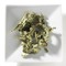 Verbena from Mighty Leaf Tea