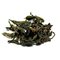 Bao Zhong Pouchong from World Tea House