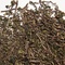 Wood Dragon Oolong from In Pursuit of Tea