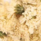 Royal Chrysanthemum from Chado Tea Room