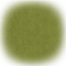 Japanese Green Frog Matcha from Tea Oh