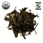 White Melon from White Heron Tea