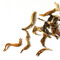 Okayti Estate Darjeeling Tresor Black Tea from Jing Tea