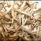 Ceylon Silver Tips from Empire Tea Services