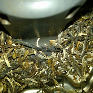 Green Pekoe from Objective Tea