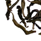 Tillerman Formosa Yancha from Bon Teavant Market