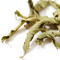 Lemon Verbena from Jing Tea