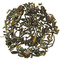 Darjeeling Muscatel 2nd Flush (Organic) from Essencha