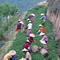 Light Roast Ti Kuan Yin / Spirit of Plum from Mingshan Tea