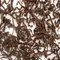 House Ceylon from Drink The Leaf