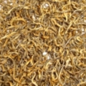 2009 Yunnan Pure Small Bud from JAS eTea