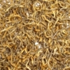 2009 Yunnan Pure Small Bud from JAS eTea