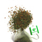 Genmaicha (Premium Tea Bag) from Maeda-en