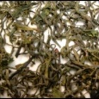 Clouds & Mist from Empire Tea Services