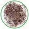 Darjeeling Himalaya from Dobra Tea