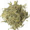 Long Jing from Lahloo Tea