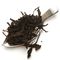 'Buddha's Hand' Fo Shou Hon Cha from Imperial Teas of Lincoln
