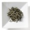 Jade Spring from Mighty Leaf Tea