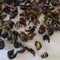 DJ-13 of Giddapahar Eagles Cliff Darjeeling Tea from Fresh Darjeeling Tea