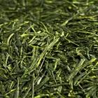 Premium Sencha from The Spice Merchant