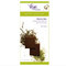 Matcha Exotic Candy Bar from Vosges